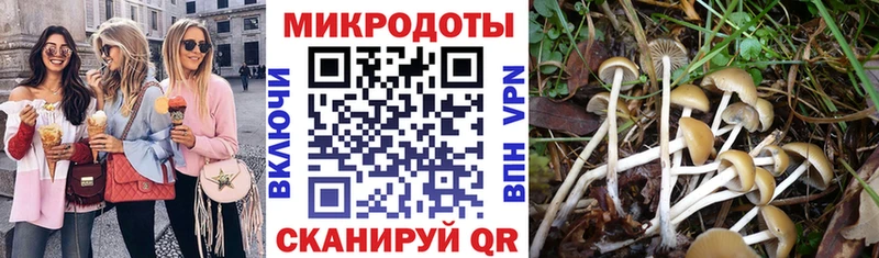 где купить наркоту  гидра зеркало  Галлюциногенные грибы Cubensis  Новочебоксарск 