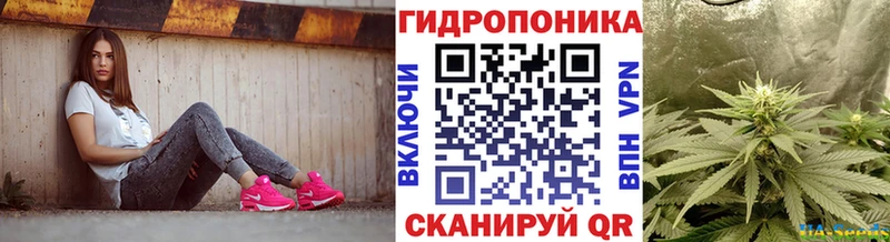 Конопля сатива  Новочебоксарск 
